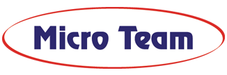 MicroTeamLogo