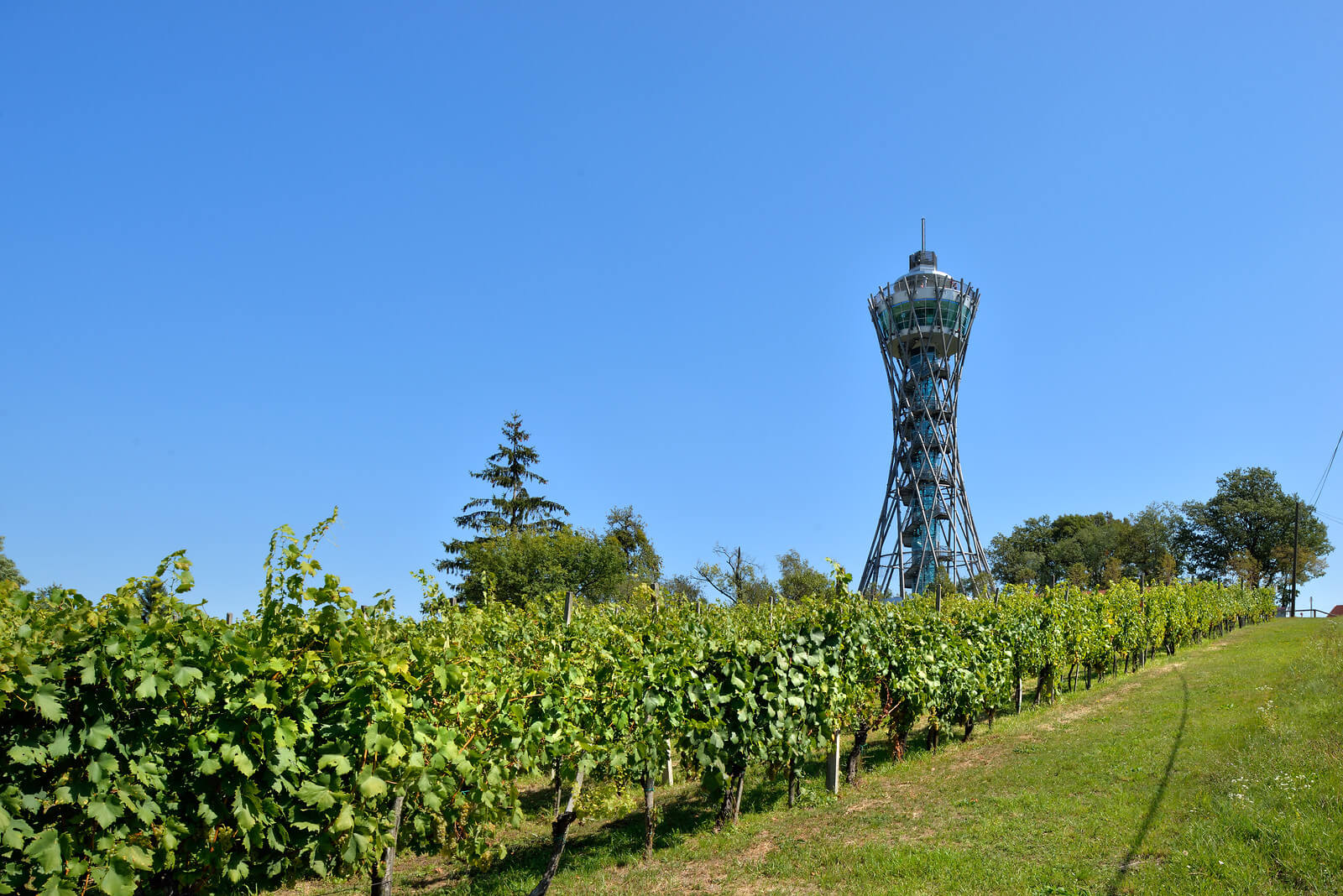 Občina Lendava "govori kulturo tudi brez naziva EPK"